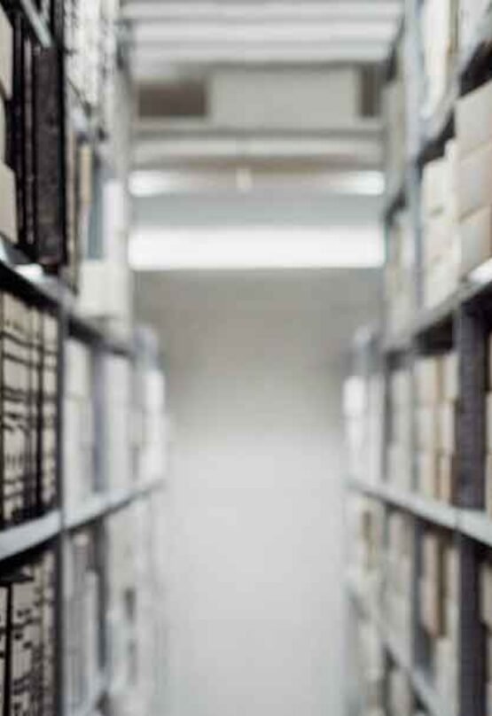 erlingrid.wpbromo.com