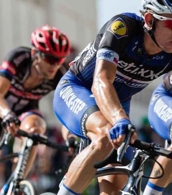 erlingrid.wpbromo.com