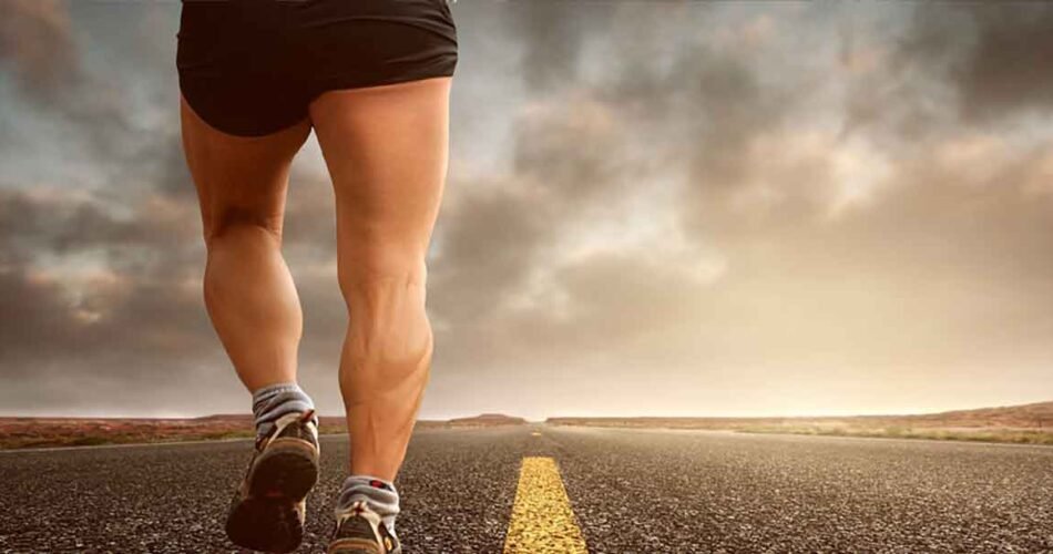 erlingrid.wpbromo.com